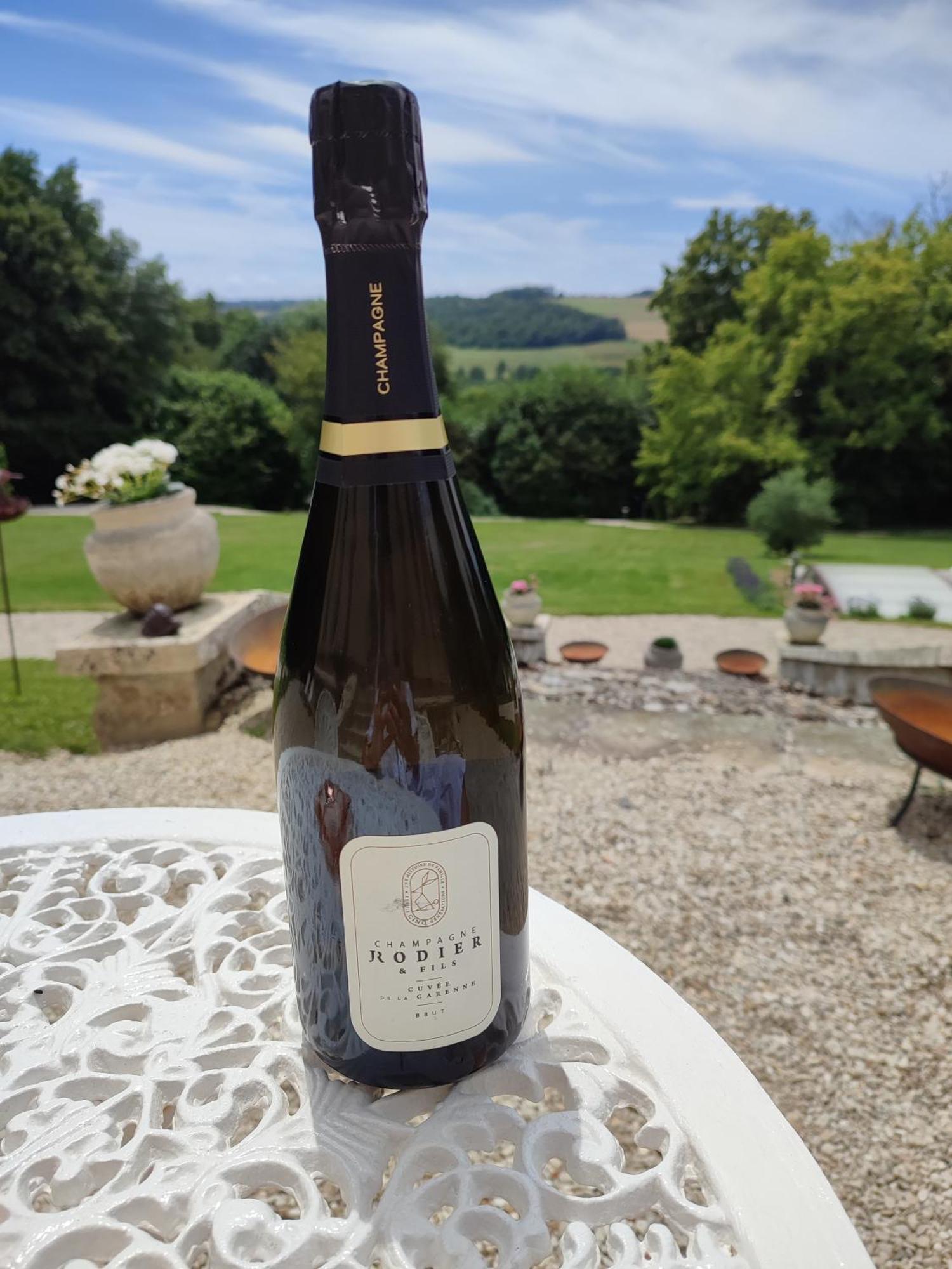 Bed & Breakfast Demeure De La Garenne Montmirail (Marne)